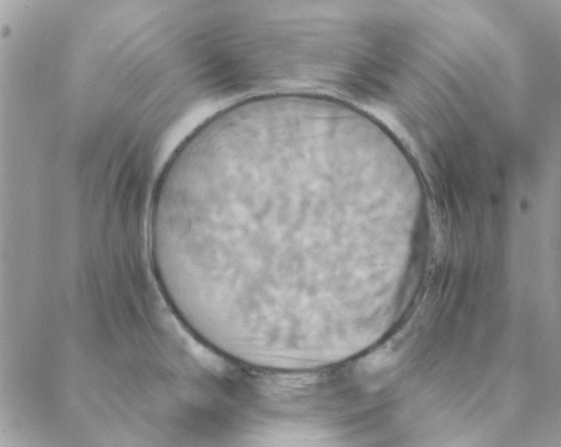 X0000088201294200706121731