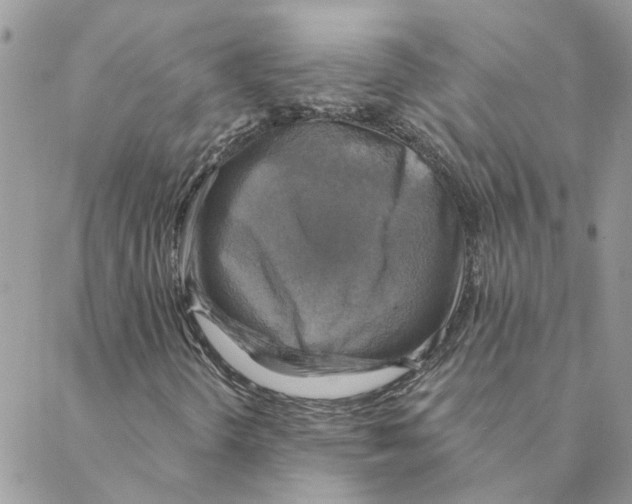 X0000088201298200706121730