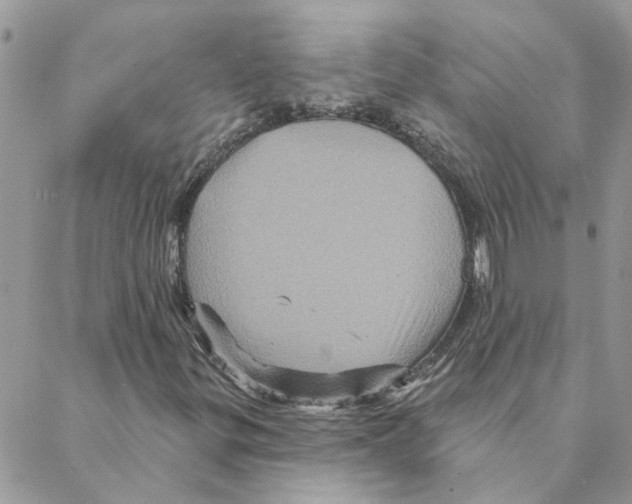 X0000088201299200706121730