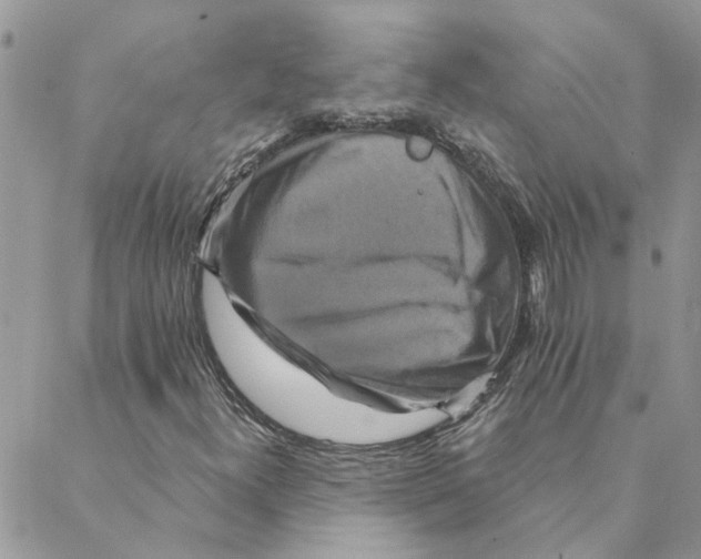 X0000088201300200706121730