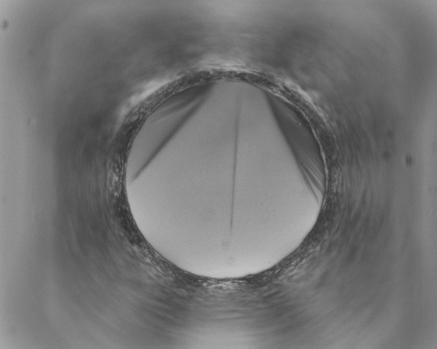 X0000088201303200706121730