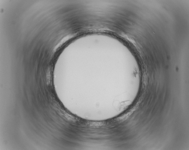 X0000088201306200706121730