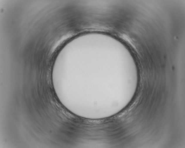 X0000088201307200706121730