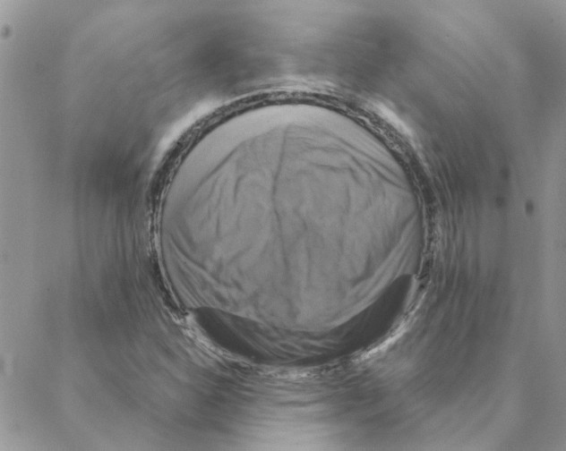 X0000088201310200706121731