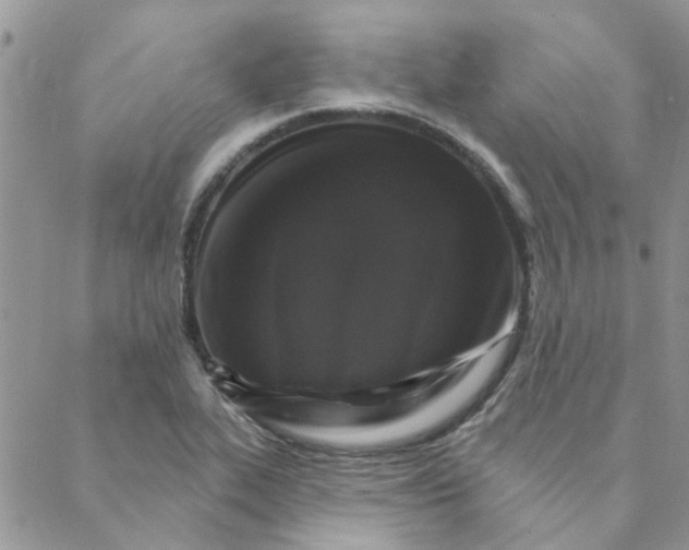 X0000088201319200706121731