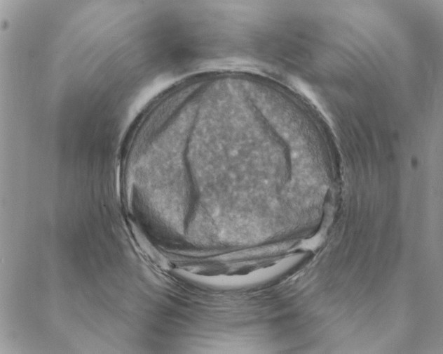 X0000088201320200706121731