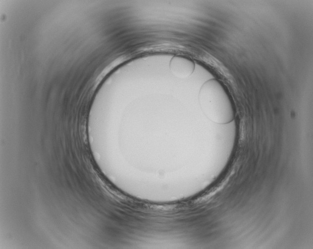 X0000088201321200706121731