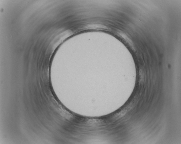 X0000088201322200706121731