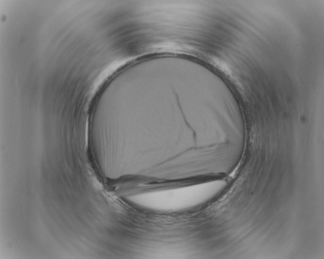 X0000088201323200706121731