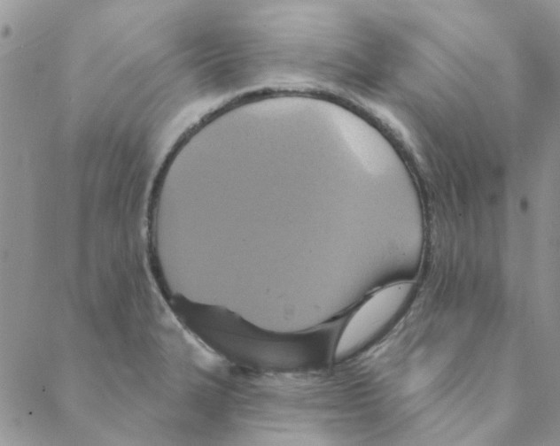 X0000088201327200706121731