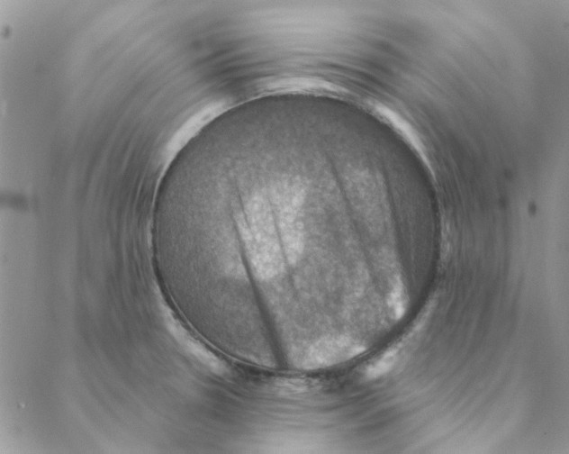 X0000088201330200706121731