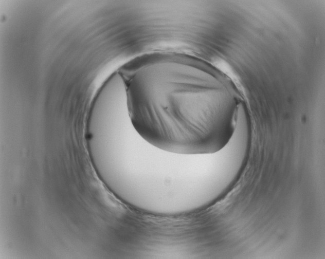 X0000088201336200706121731