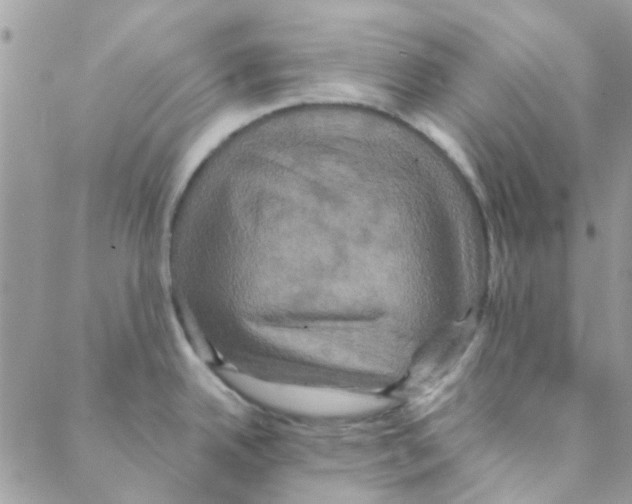 X0000088201342200706121731