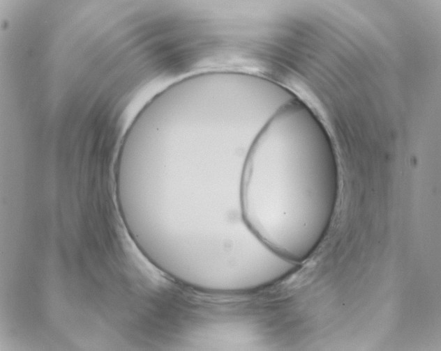 X0000088201344200706121731