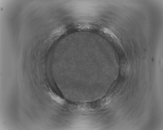X0000088201345200706121730