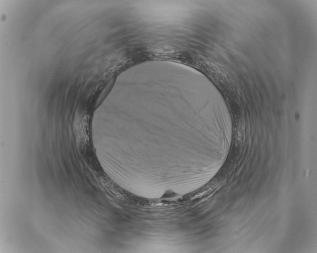 X0000088201346200706121730