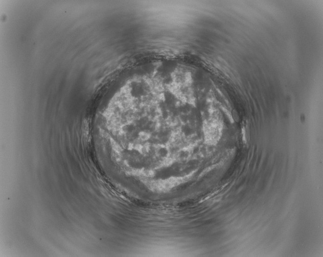 X0000088201347200706121730
