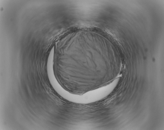 X0000088201348200706121730