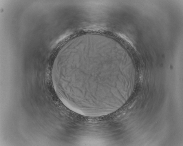 X0000088201350200706121730