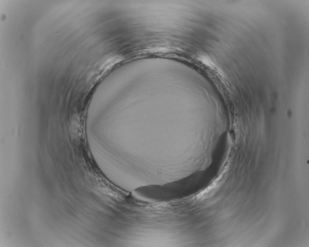 X0000088201353200706121730