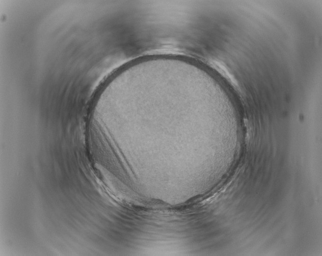 X0000088201356200706121730