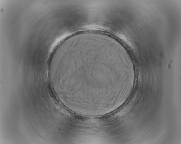 X0000088201358200706121730