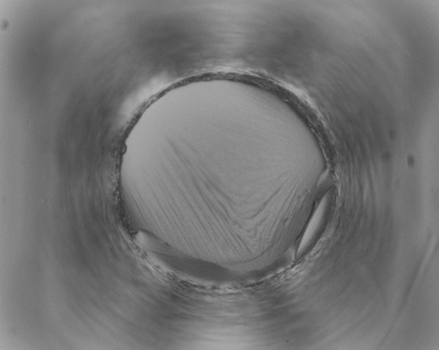 X0000088201359200706121730