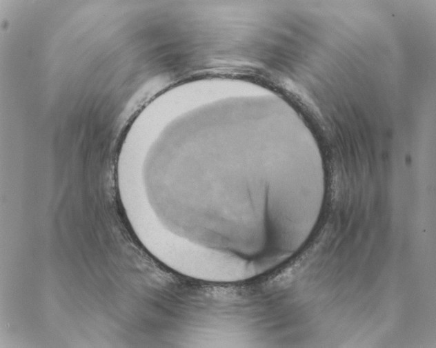 X0000088201362200706121730