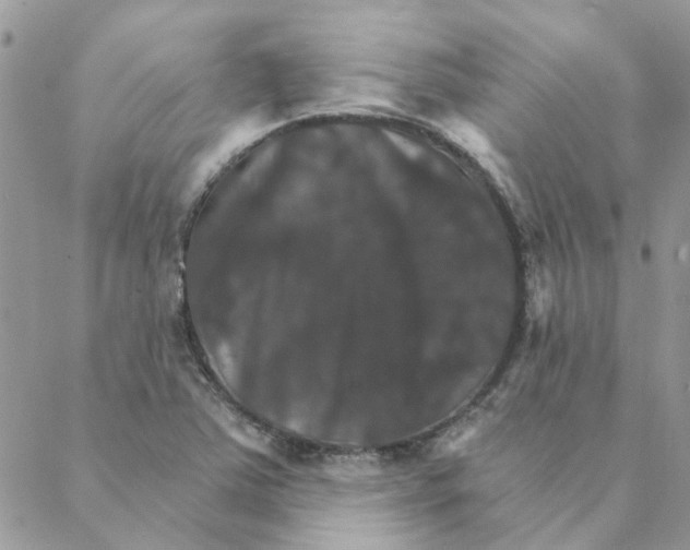 X0000088201363200706121730