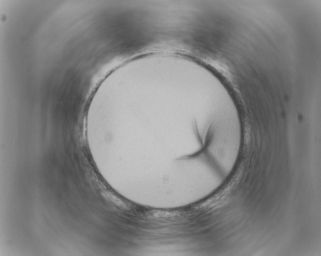 X0000088201366200706121730