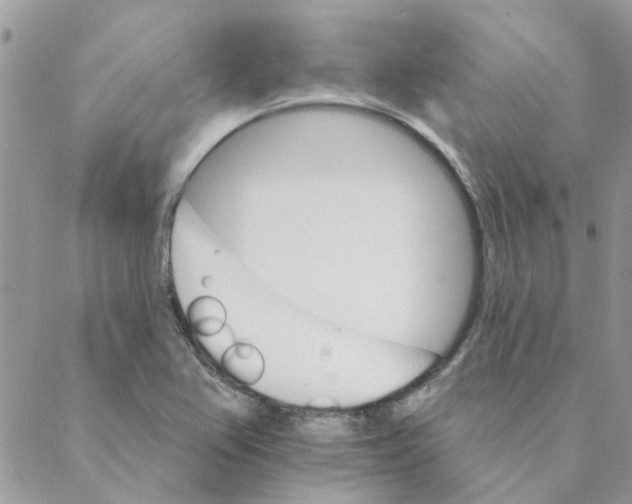 X0000088201367200706121730