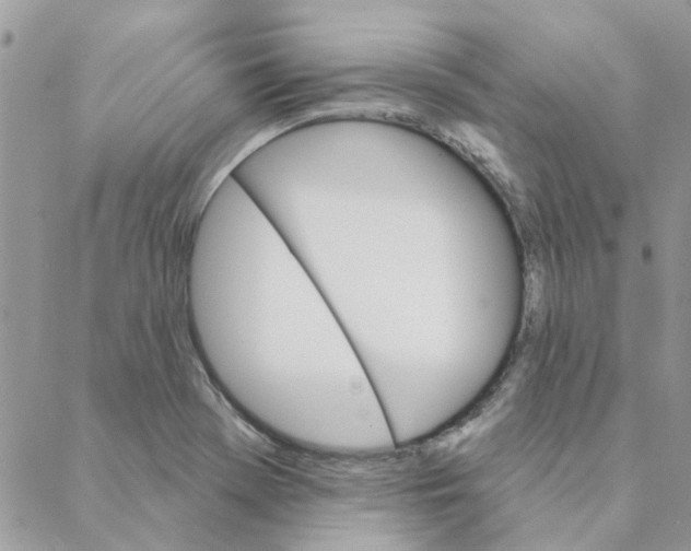 X0000088201369200706121730