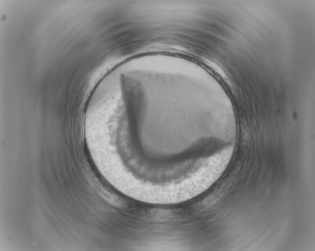X0000088201371200706121730