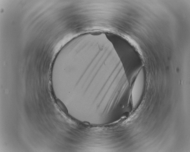 X0000088201373200706121730