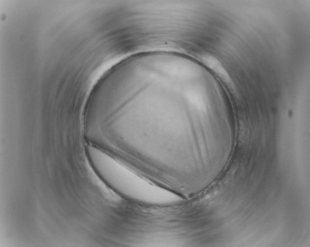 X0000088201380200706121730