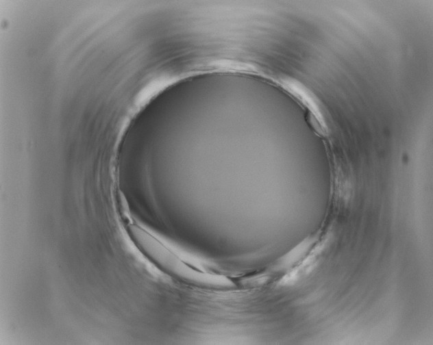 X0000088201381200706121730