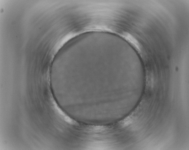 X0000088201382200706121730