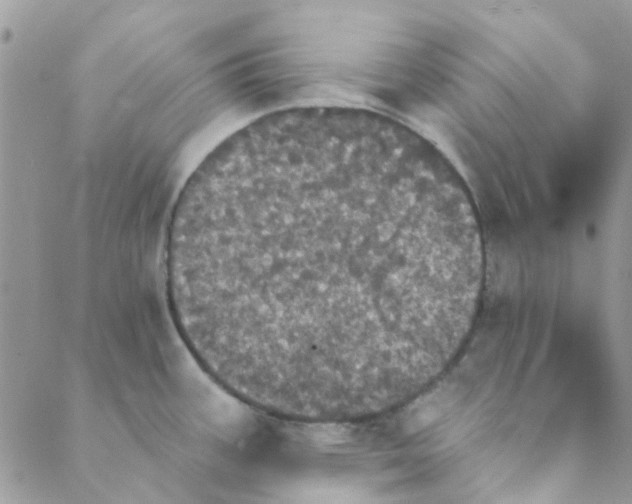 X0000088201387200706121730