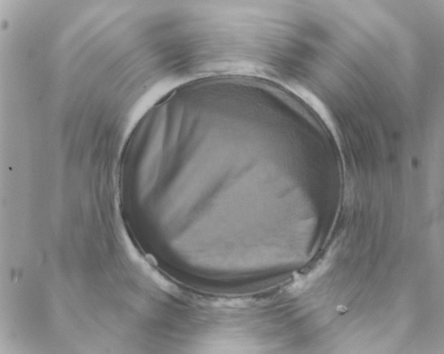 X0000088201389200706121730