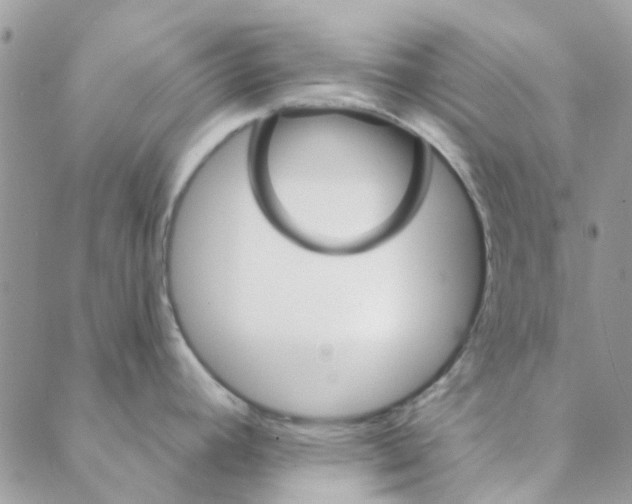 X0000088201392200706121730