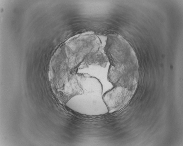 X0000088201393200706121729