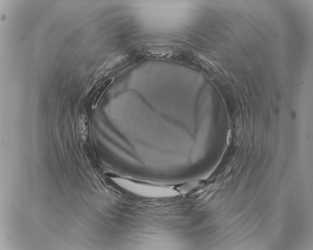 X0000088201394200706121729