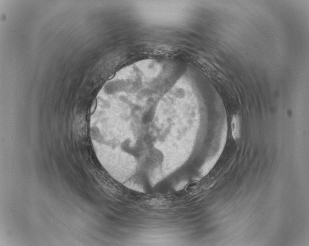 X0000088201395200706121729