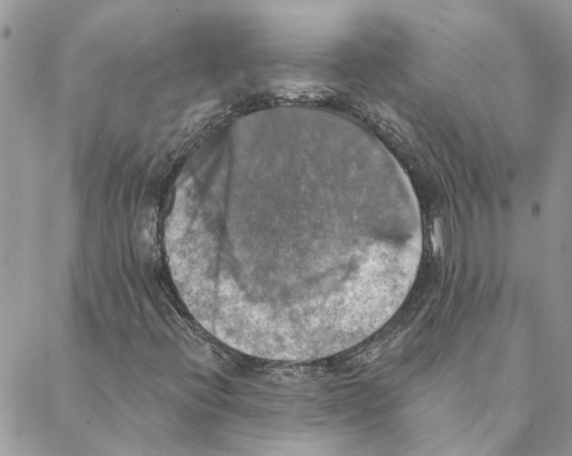 X0000088201396200706121729