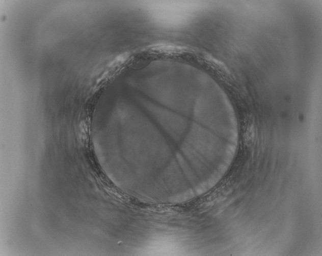 X0000088201397200706121729