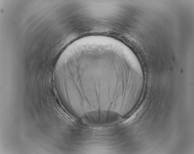 X0000088201401200706121729