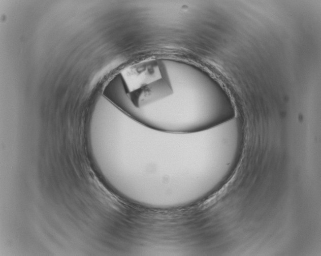 X0000088201402200706121729