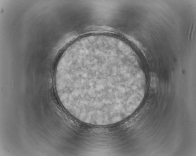 X0000088201407200706121729