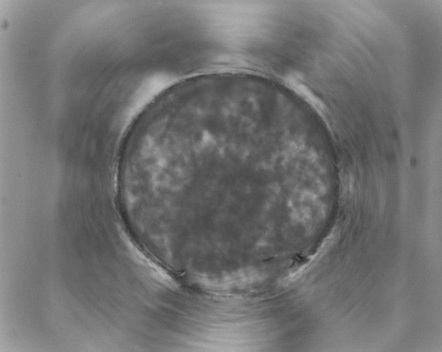 X0000088201415200706121729