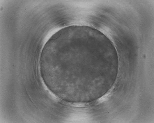 X0000088201440200706121730